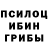 Псилоцибиновые грибы GOLDEN TEACHER Melissa Bush