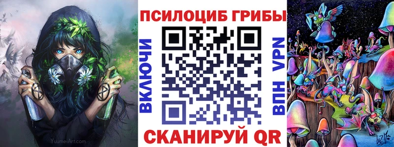 Псилоцибиновые грибы Cubensis  Купить где  Апшеронск 
